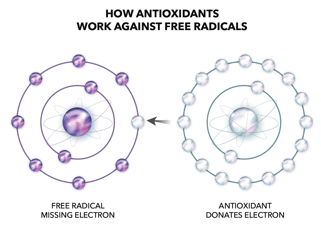 Antioxidant Diagram