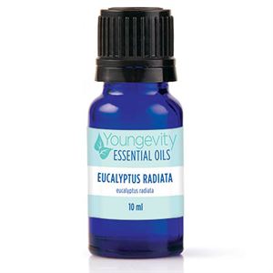0003583_eucalyptus_radiata_essential_oil_10ml_300_2490378370